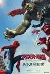 SpiderManBrandNewDay3D_134295478732410029_big-cine_deskt.webp