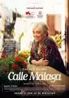 CalleMalaga_134324706666971039_big-cine_deskt.webp
