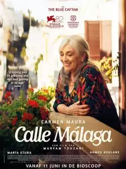 CalleMalaga_134324706666971039_big-cine_deskt.webp